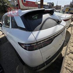 بي واي دي سونغ L DM-i